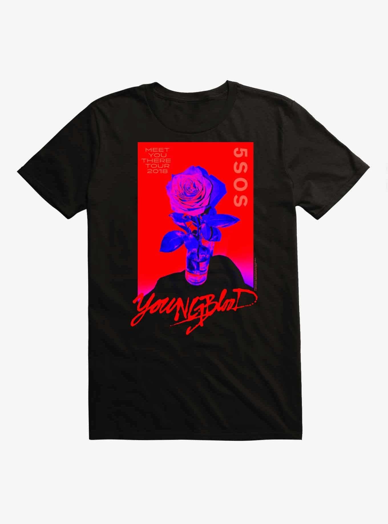 5 Seconds Of Sumer Meet You There Tour 2018 T-Shirt | Trending Graphic Tee For Fans