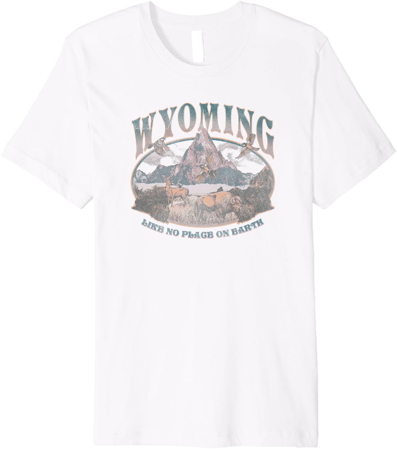 Earth Day Wyoming Like No Place On Earth Premium Apparel | US Viral Pick | Customer Favorite