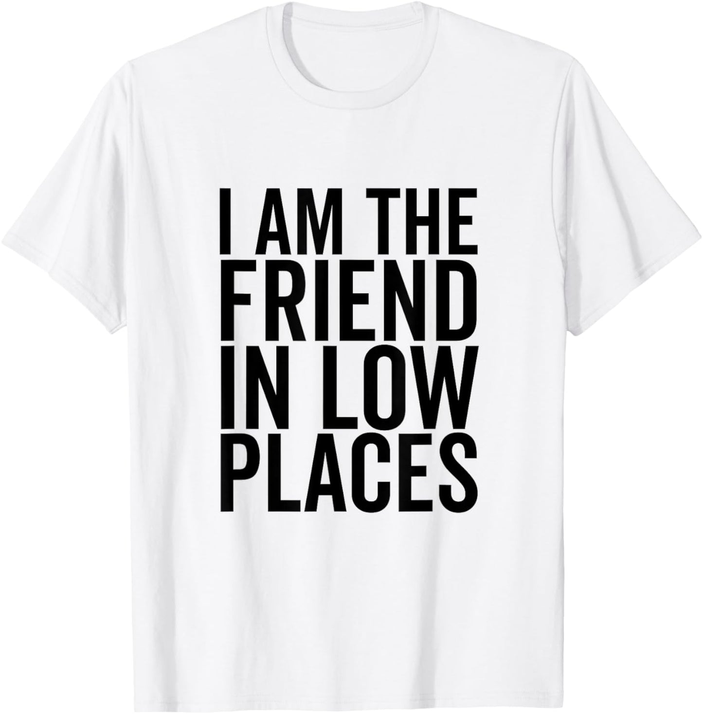 I Am The Friend In Low Places Funny Sarcastic Apparel | Top Conversion Title | Top Rated Comfort