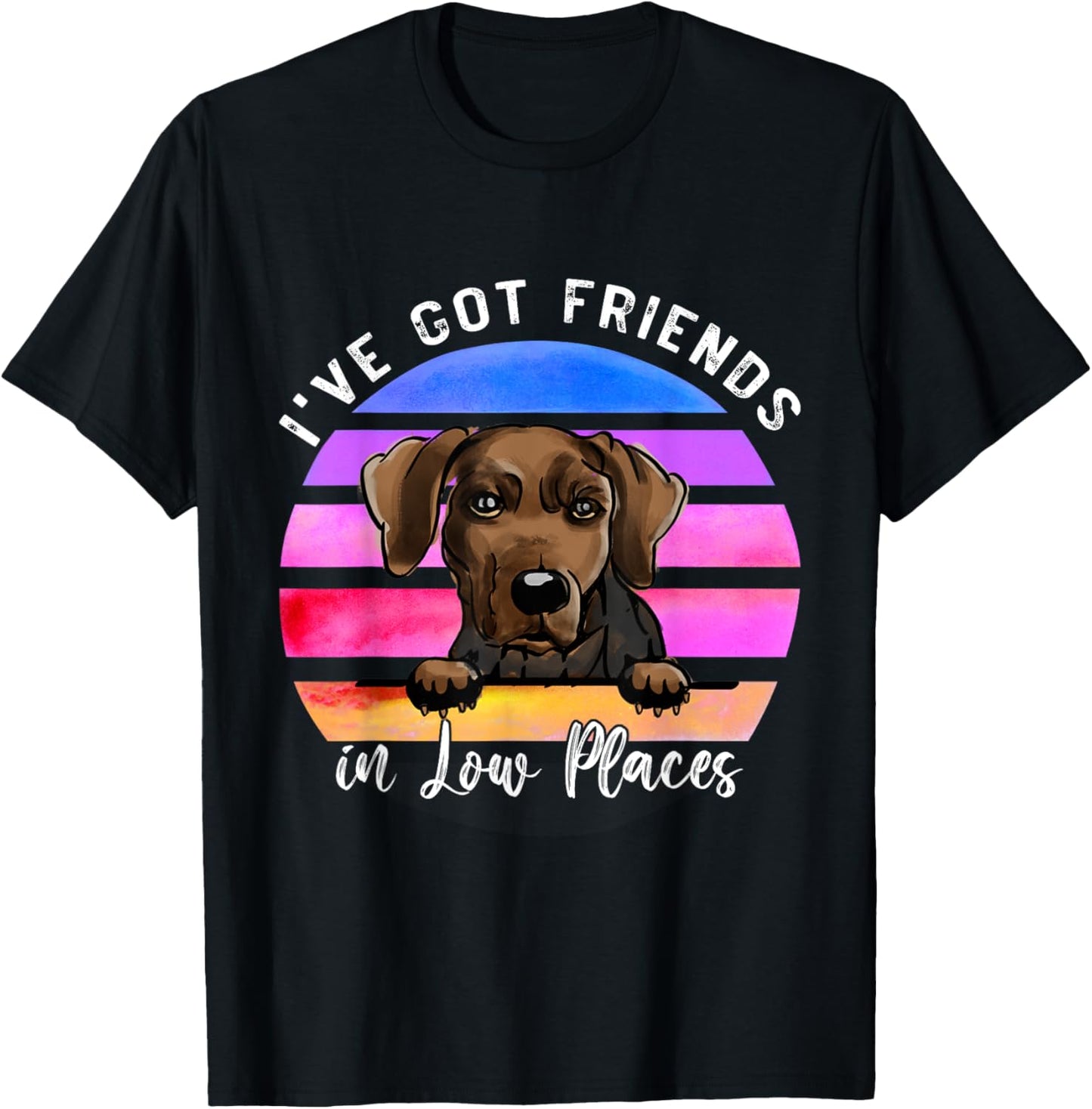 I've Got Friends In Low Places Serbian hound Dog Apparel | Premium Quality | Customer Favorite