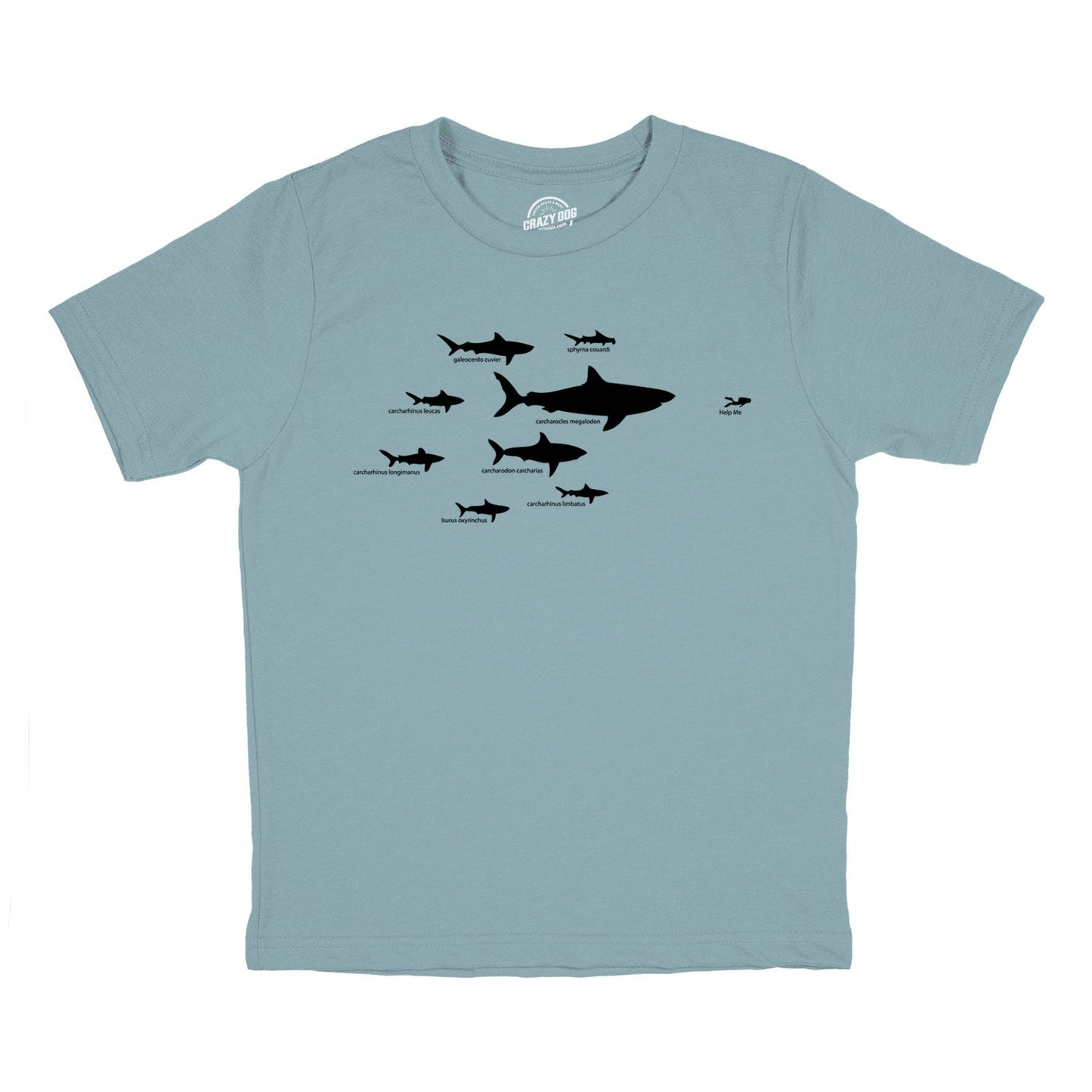 Youth Shark Types Shirt Shark Tshirts Shark Hierarchy T Shirt Funny Youth T Shirt Great White Shirt Ocean Lovers Cool Shirts for Kids Graphic Tee – Warm & Stylish · High-Quality Print