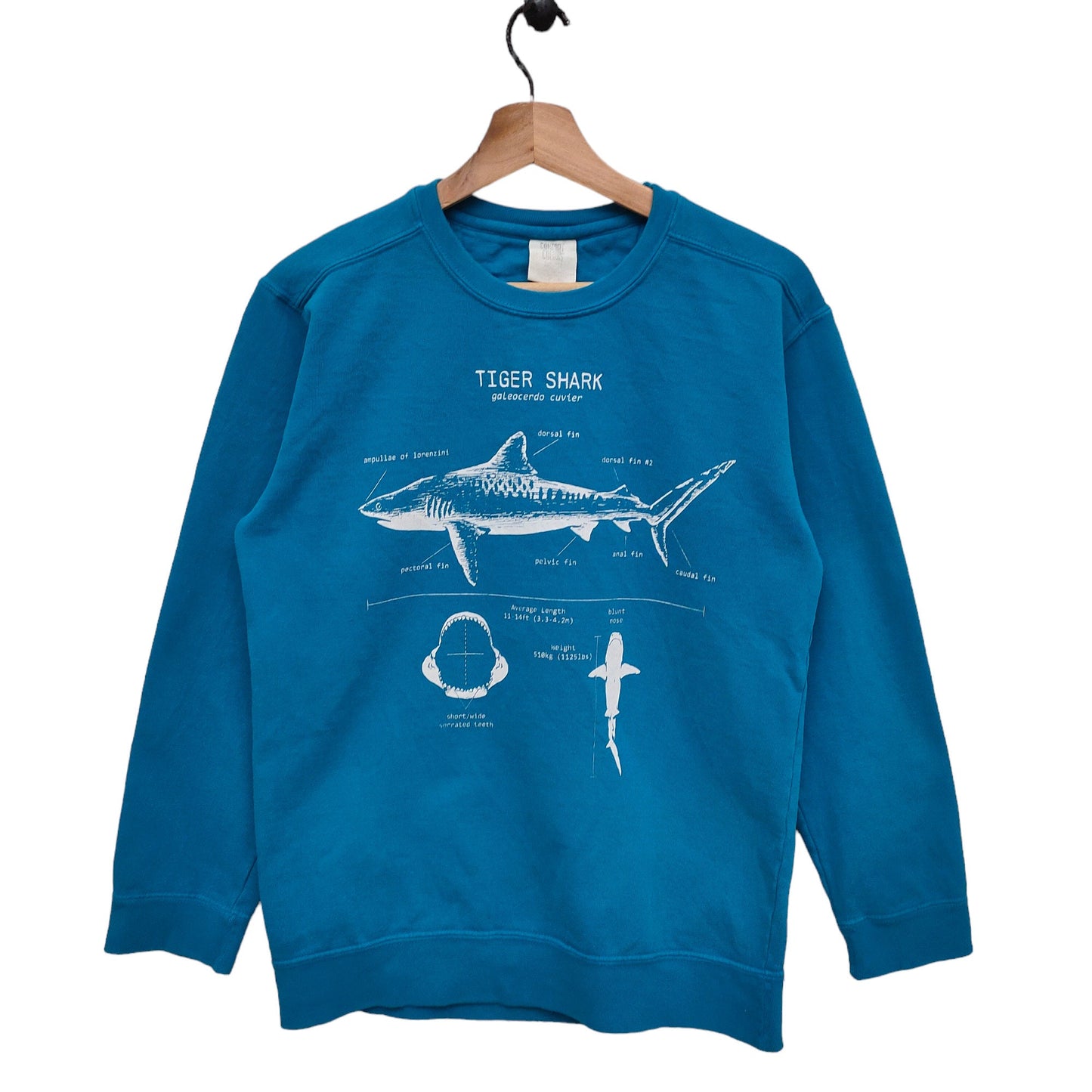 Y2K Tiger Shark Sweatshirt Small Vintage Animal Sweater Jumper Crewneck Size S Sweatshirt – Aesthetic Look · Trending Graphic Apparel