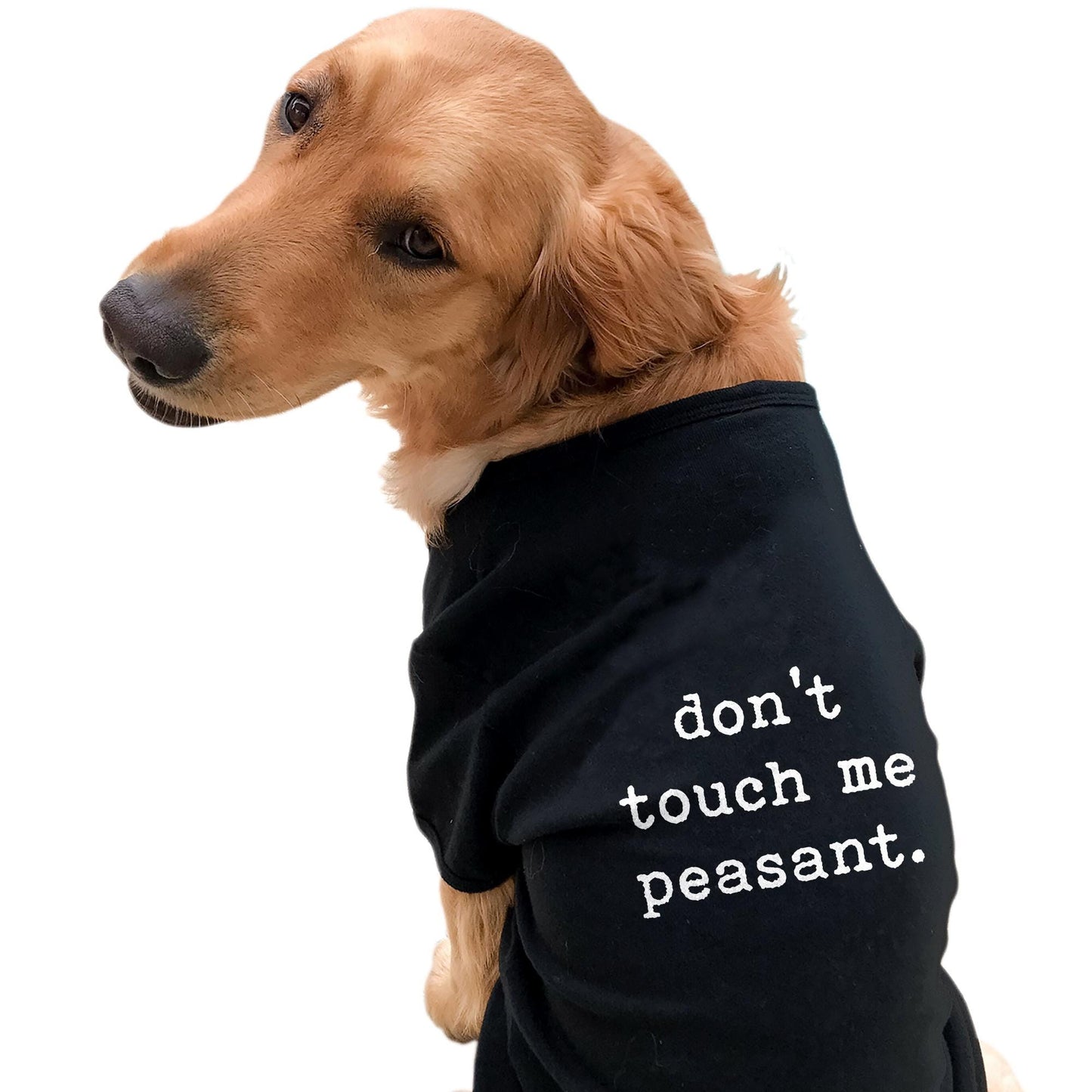 Don39t Touch Me Peasant Funny Dog Shirts Royalty Shirt Cute Dog Clothes Funny Dog T Shirt Dog Apparel Novelty Dog Shirt Leave Me Alone Graphic Tee – Aesthetic Look · Trending Graphic Apparel