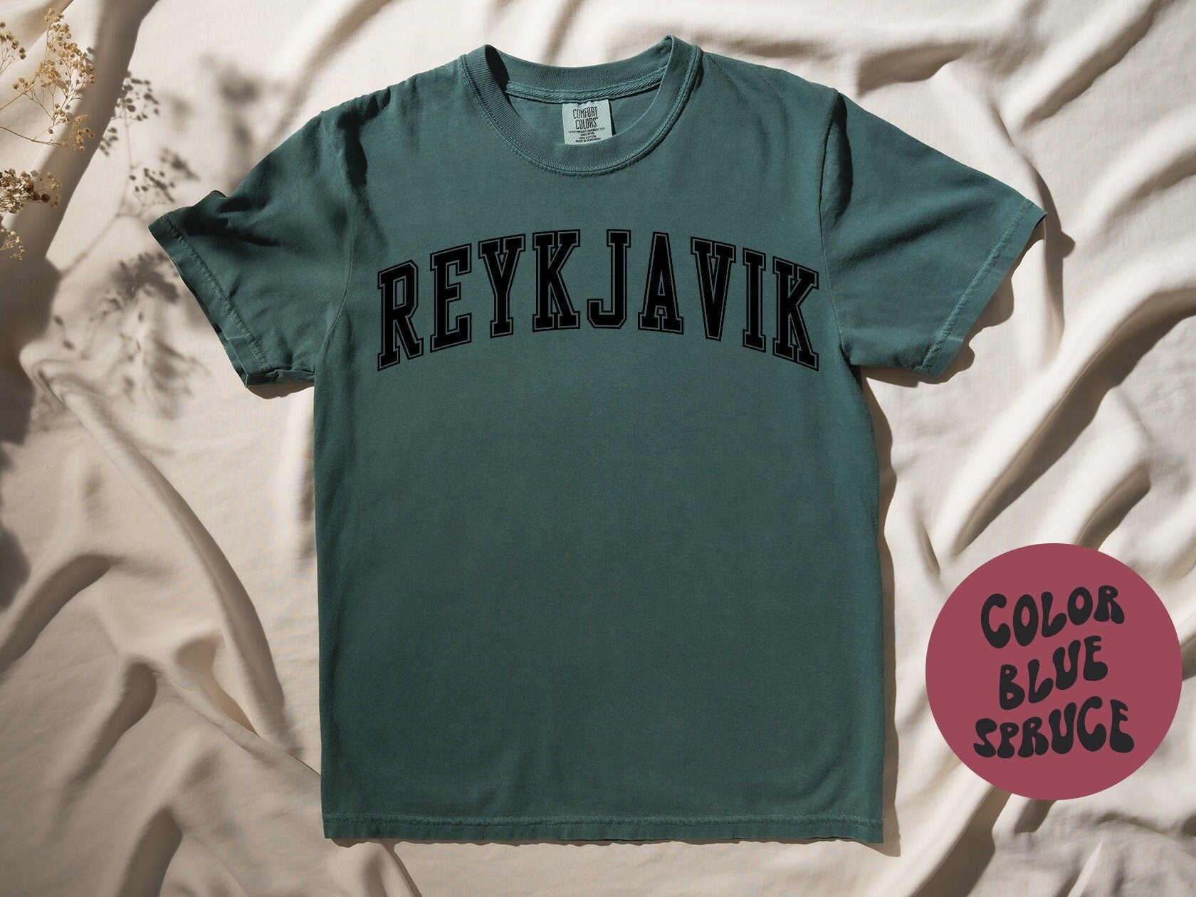 Reykjavik Iceland Shirt Gifts COMFORT COLORS Tshirt Crew Neck Tee Crewneck Short Sleeve Men Women Unisex Graphic Tee – Bold Style · High-Quality Print