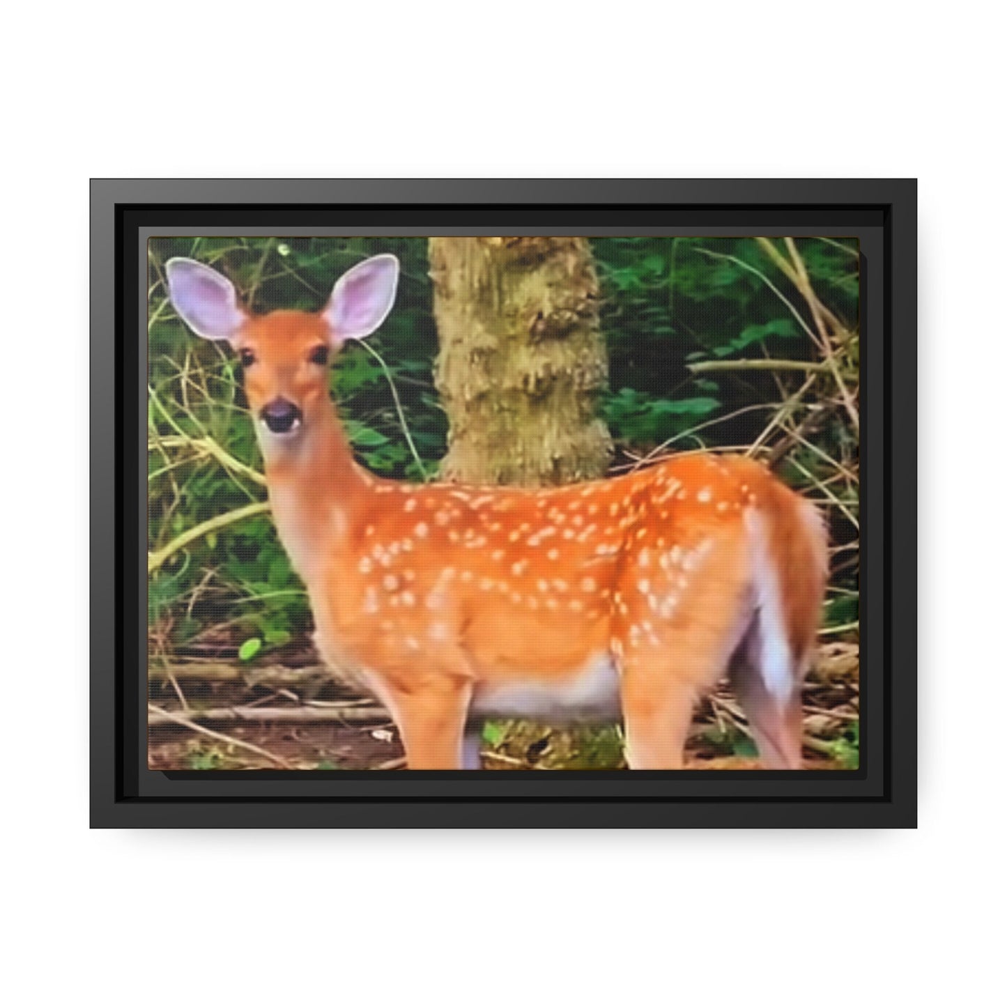 Deer Canvas Photo Black Frame Matte Finish Cabin Decor RV Outdoor Deer Photo Gift For Animal Lover Birthday Graphic Tee – Soft Feel · High-Quality Print