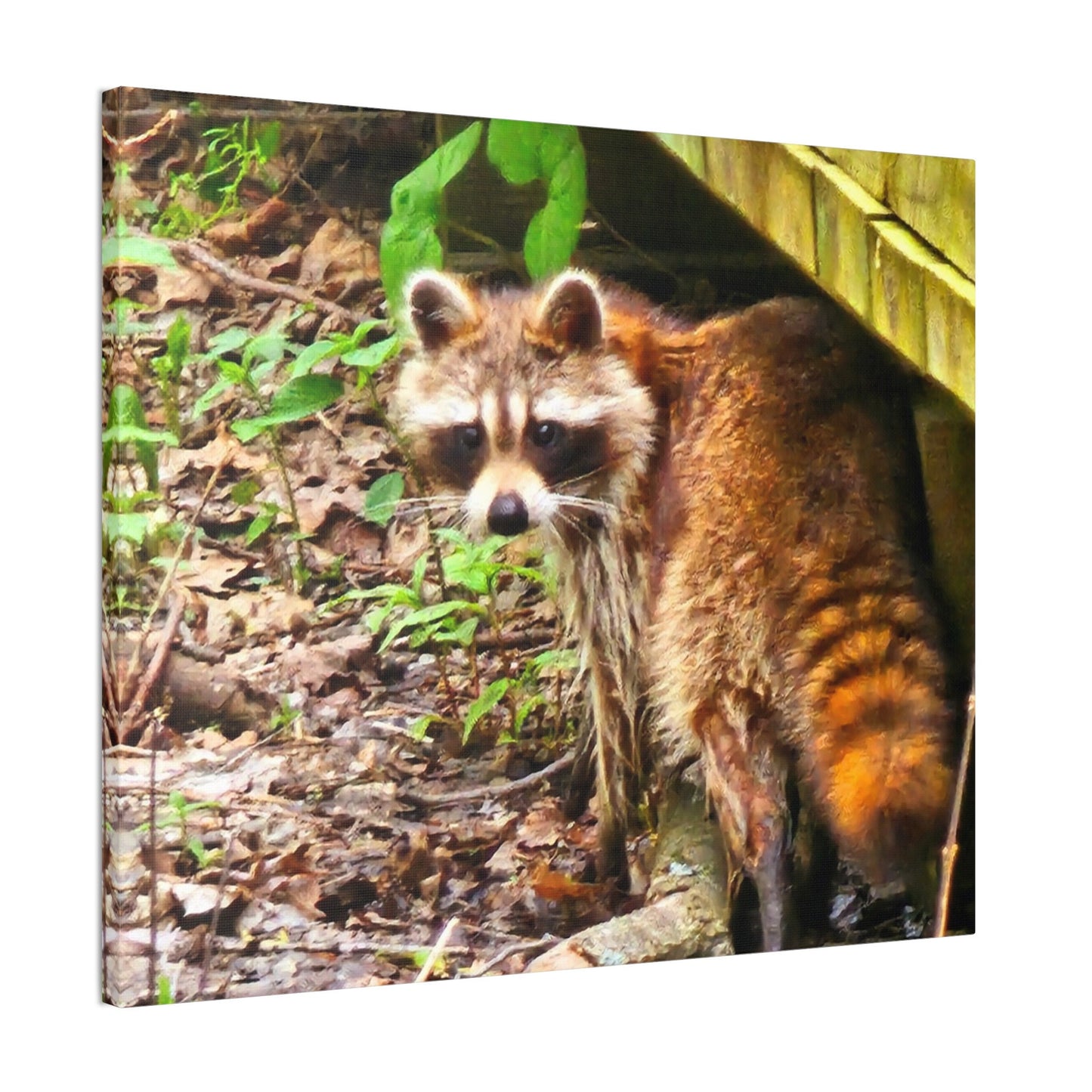 Racoon Canvas Stretched Wall Art Home Decor Picture Wall Furnishings Outdoor Nature Home Decor Cabin Camping Racoon Canvas Gift For Graphic Tee – Soft Feel · Great Gift For Fans