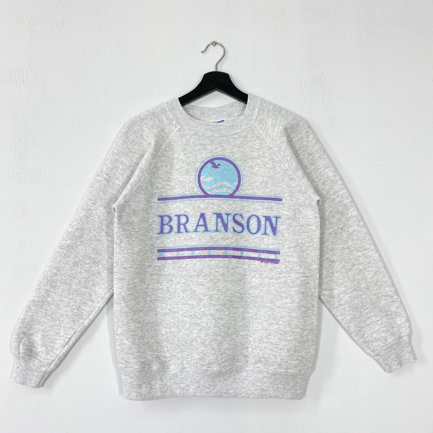Vintage 90s Branson Sweatshirt Branson Crewneck Silver Dollar City Sweater Pullover Branson Scenic Railway TITANIC Museum Print Logo Small Sweatshirt – Soft Feel · High-Quality Print