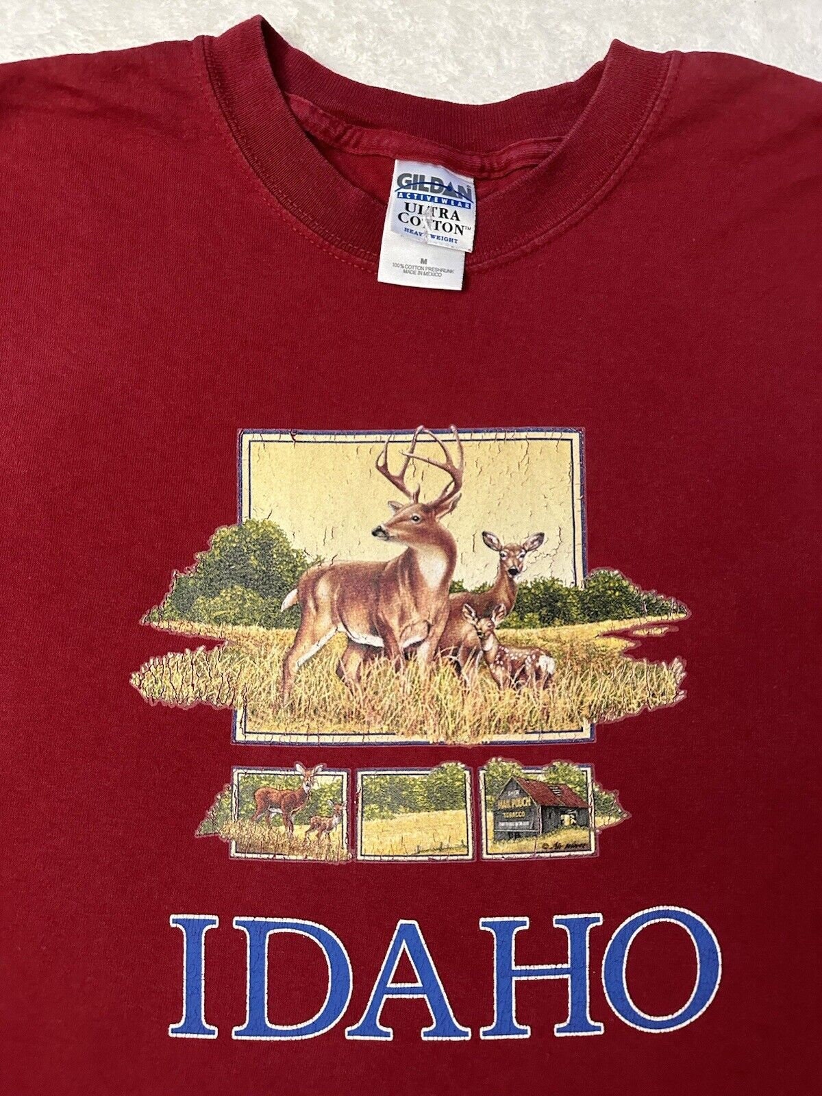 Vintage 1990s 2000s Idaho Deer Elk Mail Pouch Tobacco Barn Artwork T Shirt M L Graphic Tee – Feel-Good Design · Top Pick For Any Outfit