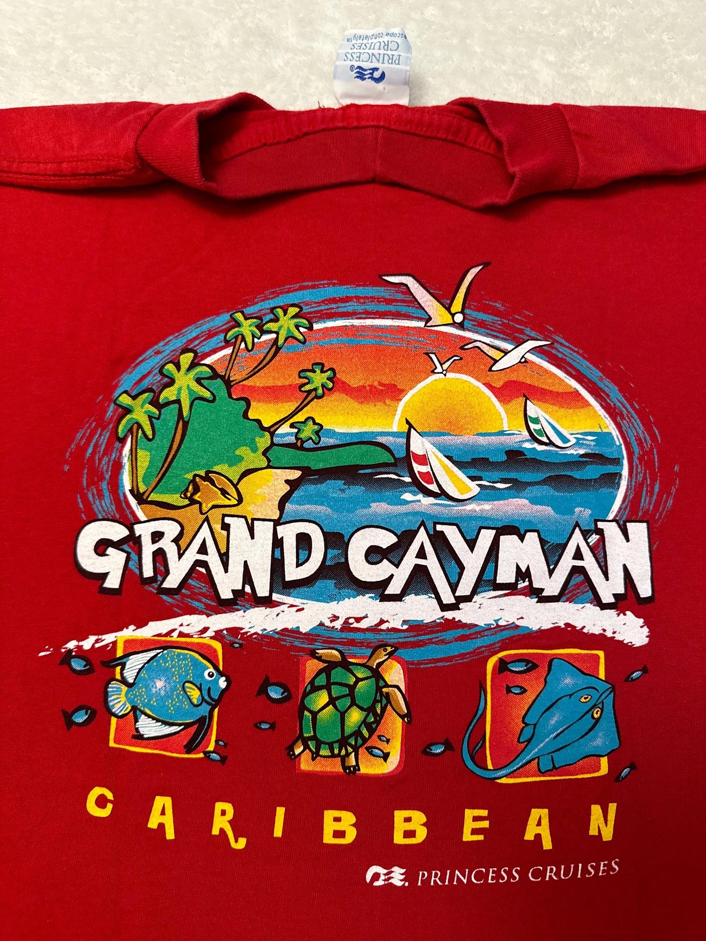 Vintage 1990s 90s Princess Cruises Grand Cayman Caribbean Beach T Shirt L NEW Graphic Tee – Cozy Vibes · Trending Graphic Apparel